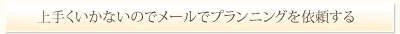 上手くいかないのでメールでプランニングを依頼する